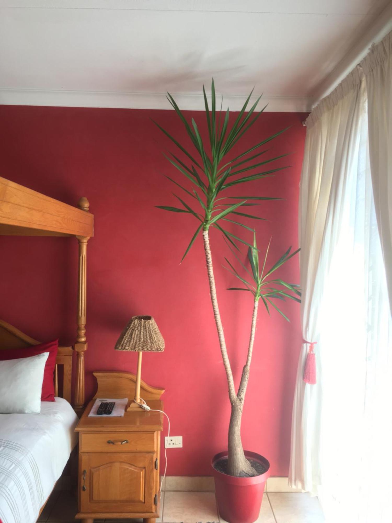 Birrea Guest House Полокване Екстер'єр фото